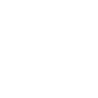 Sprint 1 — Discovery & Process Mapping